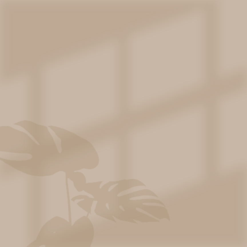 Window and Plant Shadow Illustration